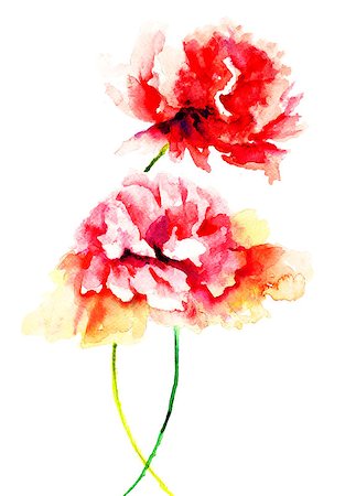 drawing of peonies - Beautiful Peony flowers, Watercolor painting Stock Photo - Budget Royalty-Free & Subscription, Code: 400-07091984