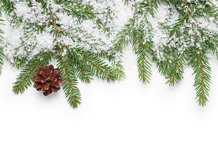 border from fir twigs, cone and fake snow, on white background Stock Photo - Budget Royalty-Free & Subscription, Code: 400-07114821