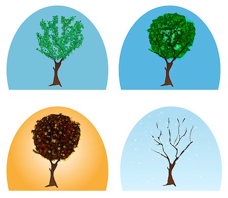 four seasons icons - vector abstract tree during four seasons Stock Photo - Budget Royalty-Free & Subscription, Code: 400-07116603