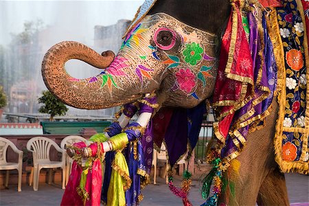 simsearch:400-05146135,k - Jaipur, Rajasthan,India - March 29 : people and elephants of the city are celebrating the gangaur festival one of the most important of the year march 29 2009 in jaipur,rajasthan,india Stock Photo - Budget Royalty-Free & Subscription, Code: 400-07124356