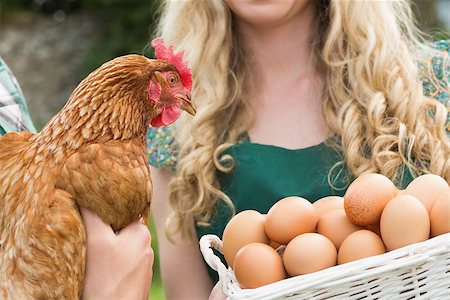 Young couple holding chicken and basket of eggs in the  garden Stock Photo - Budget Royalty-Free & Subscription, Code: 400-07139643