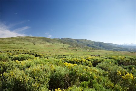 simsearch:400-05724021,k - mountains at Gredos natural park in Avila Spain Stock Photo - Budget Royalty-Free & Subscription, Code: 400-07165874