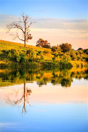 Peaceful sunset scene on a small lake in Central Kentucky Stock Photo - Budget Royalty-Free & Subscription, Code: 400-07166947