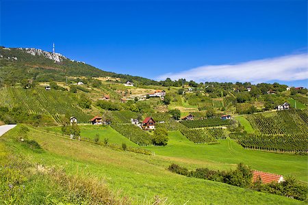Vineyards on Kalnik mountain slopes, Prigorje, Croatia Stock Photo - Budget Royalty-Free & Subscription, Code: 400-07175395