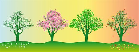 simsearch:400-04281316,k - tree in different seasons on a colored background Photographie de stock - Aubaine LD & Abonnement, Code: 400-07175990