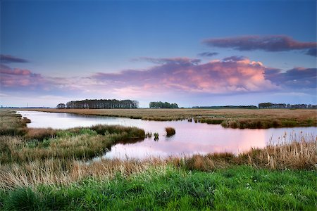 simsearch:400-06408905,k - pink clouds over swamps at sunset, Drenthe, Netherlands Stock Photo - Budget Royalty-Free & Subscription, Code: 400-07173520
