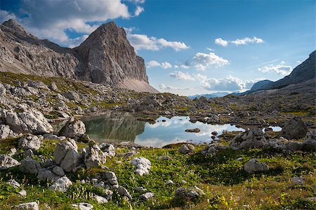 Small lake at Triglav Lakes Valley with grass and flowers in the foreground, lake in the middle and mountain peak in the background. Stock Photo - Budget Royalty-Free & Subscription, Code: 400-07208098