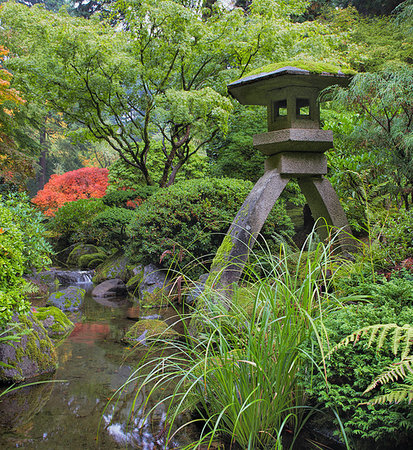 stream in garden - Japanese Stone Lantern in Garden with Rocks Trees Plants and Shrubs by Water Stream during Fall Season Stock Photo - Budget Royalty-Free & Subscription, Code: 400-07209541