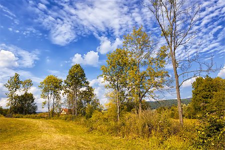simsearch:400-05678857,k - Autumn landscape Stock Photo - Budget Royalty-Free & Subscription, Code: 400-07209953