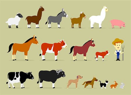 Cute Cartoon Farm Characters including a farmer and 17 animals (Sheep, Llama, Donkey, Goat, Alpaca, Pig, Horse, Cow, Mule, Calf, Cow, Buffalo, Great Dane Dog, German Shepherd Dog, Cat, Hare, and Rabbit) Stock Photo - Budget Royalty-Free & Subscription, Code: 400-07217615