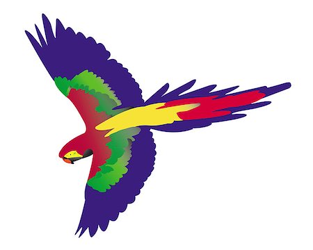 simsearch:400-08410665,k - parrot flying on white background Photographie de stock - Aubaine LD & Abonnement, Code: 400-07218224