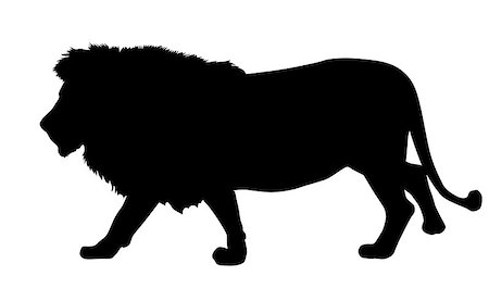 simsearch:400-04171805,k - Lion silhouette. Vector illustration. EPS 8 Stock Photo - Budget Royalty-Free & Subscription, Code: 400-07211191