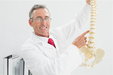 spinal cord of a male - Portrait of a smiling male doctor holding skeleton model in his office Stock Photo - Budget Royalty-Free & Subscription, Code: 400-07230945