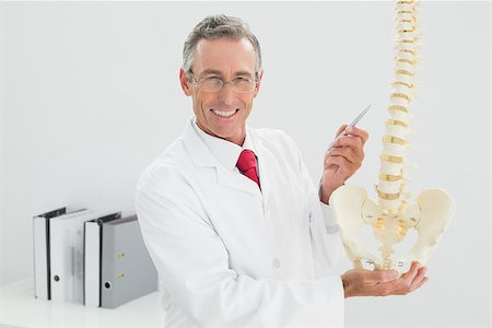 spinal cord of a male - Portrait of a happy male doctor holding skeleton model in his office Stock Photo - Budget Royalty-Free & Subscription, Code: 400-07230950