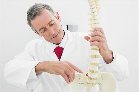 pictures of a man back bones - Concentrated male doctor explaining the spine in medical office Stock Photo - Budget Royalty-Free & Subscription, Code: 400-07230971