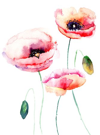 flower grunge background - Colorful pink flower, watercolor illustration Stock Photo - Budget Royalty-Free & Subscription, Code: 400-07245335