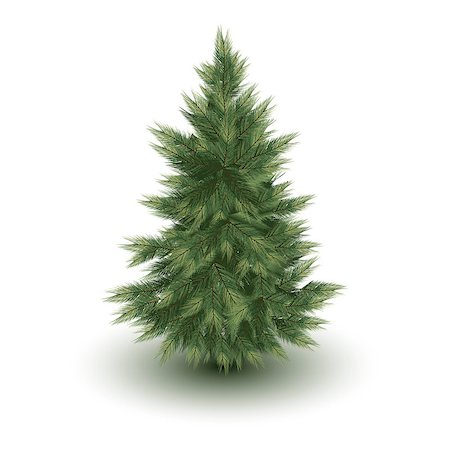 fir needle - Christmas tree. vector pine image isolated on white Stock Photo - Budget Royalty-Free & Subscription, Code: 400-07249922