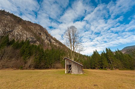 Meadow with barn and big tree. Stock Photo - Budget Royalty-Free & Subscription, Code: 400-07257758