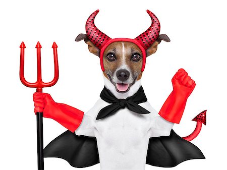 evil dogs - devil dog behind a blank white banner Stock Photo - Budget Royalty-Free & Subscription, Code: 400-07250604