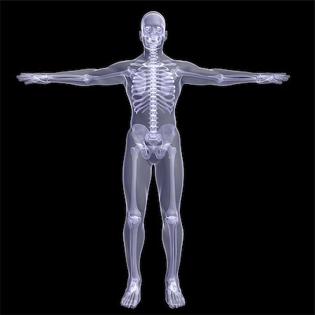 stomach xray - Person. X-ray render on a black background Stock Photo - Budget Royalty-Free & Subscription, Code: 400-07250862