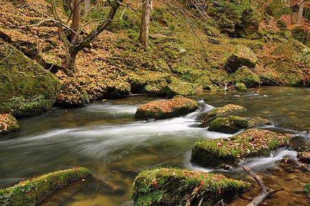 simsearch:400-05718920,k - A small river Kamenice flows through a wild landscape with rocks Stock Photo - Budget Royalty-Free & Subscription, Code: 400-07252786