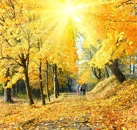 Happy family (mother with small children) walking in golden maple sunshine autumn park Stock Photo - Budget Royalty-Free & Subscription, Code: 400-07262510