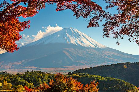 simsearch:400-06640469,k - Mt. Fuji with fall Foliage in Japan. Stock Photo - Budget Royalty-Free & Subscription, Code: 400-07263232