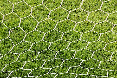 soccer arena - Back side the Goal at the football field Stock Photo - Budget Royalty-Free & Subscription, Code: 400-07263727