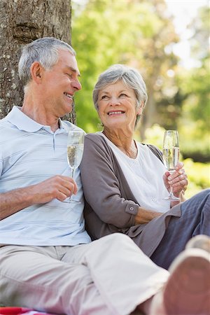 simsearch:649-07239704,k - Happy senior man and woman with champagne flutes at the park Stock Photo - Budget Royalty-Free & Subscription, Code: 400-07275066
