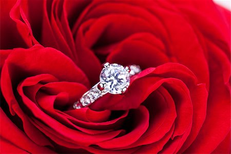 Overhead view of a diamond engagement ring nestling in the heart of a red rose amongst the soft petals Stock Photo - Budget Royalty-Free & Subscription, Code: 400-07305086