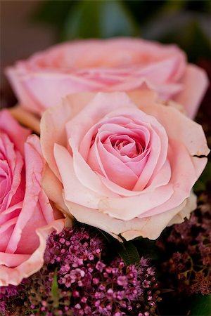 simsearch:400-06141323,k - colorful beautiful roses flowers macro closeup card background valentine Foto de stock - Super Valor sin royalties y Suscripción, Código: 400-07306766