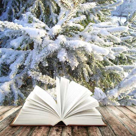 simsearch:400-06069768,k - Book of nature on winter background Stock Photo - Budget Royalty-Free & Subscription, Code: 400-07309234