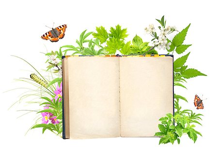 simsearch:400-06069768,k - Book of nature. Isolated on white background Stock Photo - Budget Royalty-Free & Subscription, Code: 400-07309231