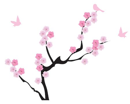 simsearch:400-04882926,k - vector cherry blossom Stock Photo - Budget Royalty-Free & Subscription, Code: 400-07309265