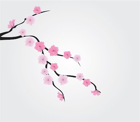 simsearch:400-04882926,k - vector cherry blossom Stock Photo - Budget Royalty-Free & Subscription, Code: 400-07309262