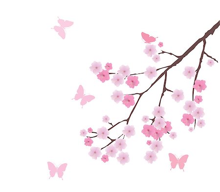 simsearch:400-04882926,k - vector cherry blossom Stock Photo - Budget Royalty-Free & Subscription, Code: 400-07309273