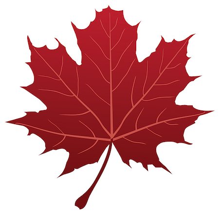 vector maple leaf silhouette Stock Photo - Budget Royalty-Free & Subscription, Code: 400-07309893