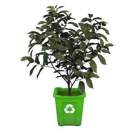 simsearch:400-07050071,k - Recycling concept with young tea plant growing in green recycle bin Stock Photo - Budget Royalty-Free & Subscription, Code: 400-07301136