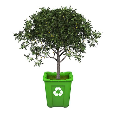 simsearch:400-07301131,k - Recycling concept with fruit tree growing in green recycle bin Stock Photo - Budget Royalty-Free & Subscription, Code: 400-07303228
