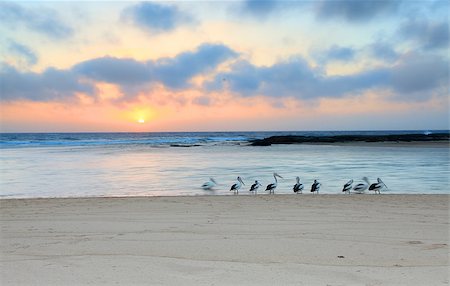 The sun rises up at the horizon at The Entrance North, on a beautiful summer day in Australia Stock Photo - Budget Royalty-Free & Subscription, Code: 400-07314057