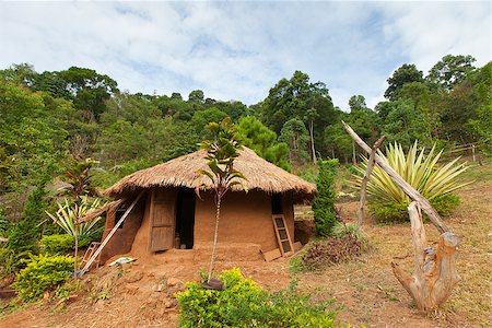 exterior color for house in the forest - The clay house in Lahu (North Tayland) Stock Photo - Budget Royalty-Free & Subscription, Code: 400-07316569