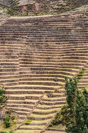 Pisac, Incas ruins in the peruvian Andes at Cuzco Peru Stock Photo - Budget Royalty-Free & Subscription, Code: 400-07317456