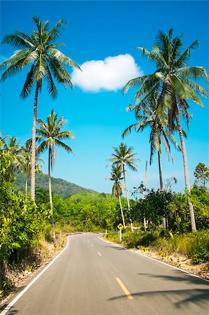 road to paradise - Nice asfalt road with palm trees against the blue sky and cloud Stock Photo - Budget Royalty-Free & Subscription, Code: 400-07325965