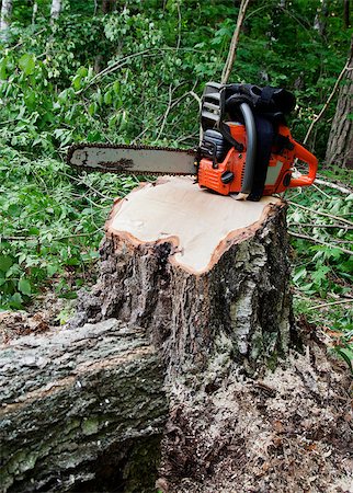 equipment for deforestation - Chainsaw on a stump of a recently sawed down tree Stock Photo - Budget Royalty-Free & Subscription, Code: 400-07323211