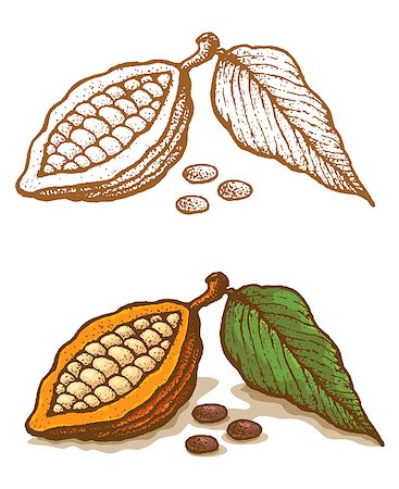 Illustrations of cocoa in retro style Stock Photo - Budget Royalty-Free & Subscription, Code: 400-07405584