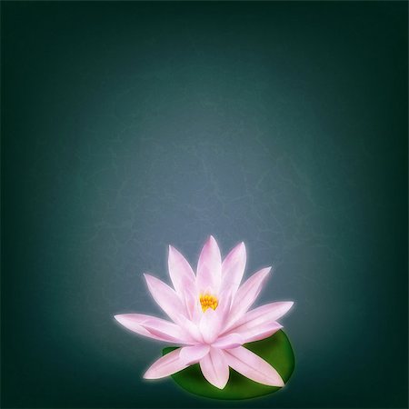 abstract grunge floral background with pink lotus Stock Photo - Budget Royalty-Free & Subscription, Code: 400-07405758