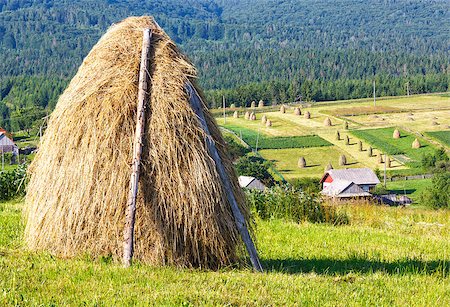 simsearch:400-05719580,k - Summer mountain village outskirts with haystacks on field (Carpathian, Ukraine) Photographie de stock - Aubaine LD & Abonnement, Code: 400-07410294