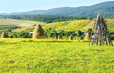 simsearch:400-05719580,k - Summer mountain village outskirts with haystacks on field (Carpathian, Ukraine) Photographie de stock - Aubaine LD & Abonnement, Code: 400-07410293