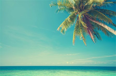 Retro vintage style summer sea view with coconut tree at Perhentian island, Malaysia Stock Photo - Budget Royalty-Free & Subscription, Code: 400-07424738