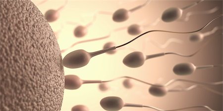 A lot of sperms going to the ovule. Image concept of fecundation. Stock Photo - Budget Royalty-Free & Subscription, Code: 400-07427268